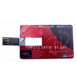 Promotional Card USB Drive